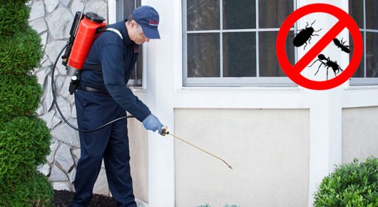 Karahallı Böcek ve Haşere İlaçlama böcek ilaçlama ve haşere kontrolü — ilaclama-tr.com